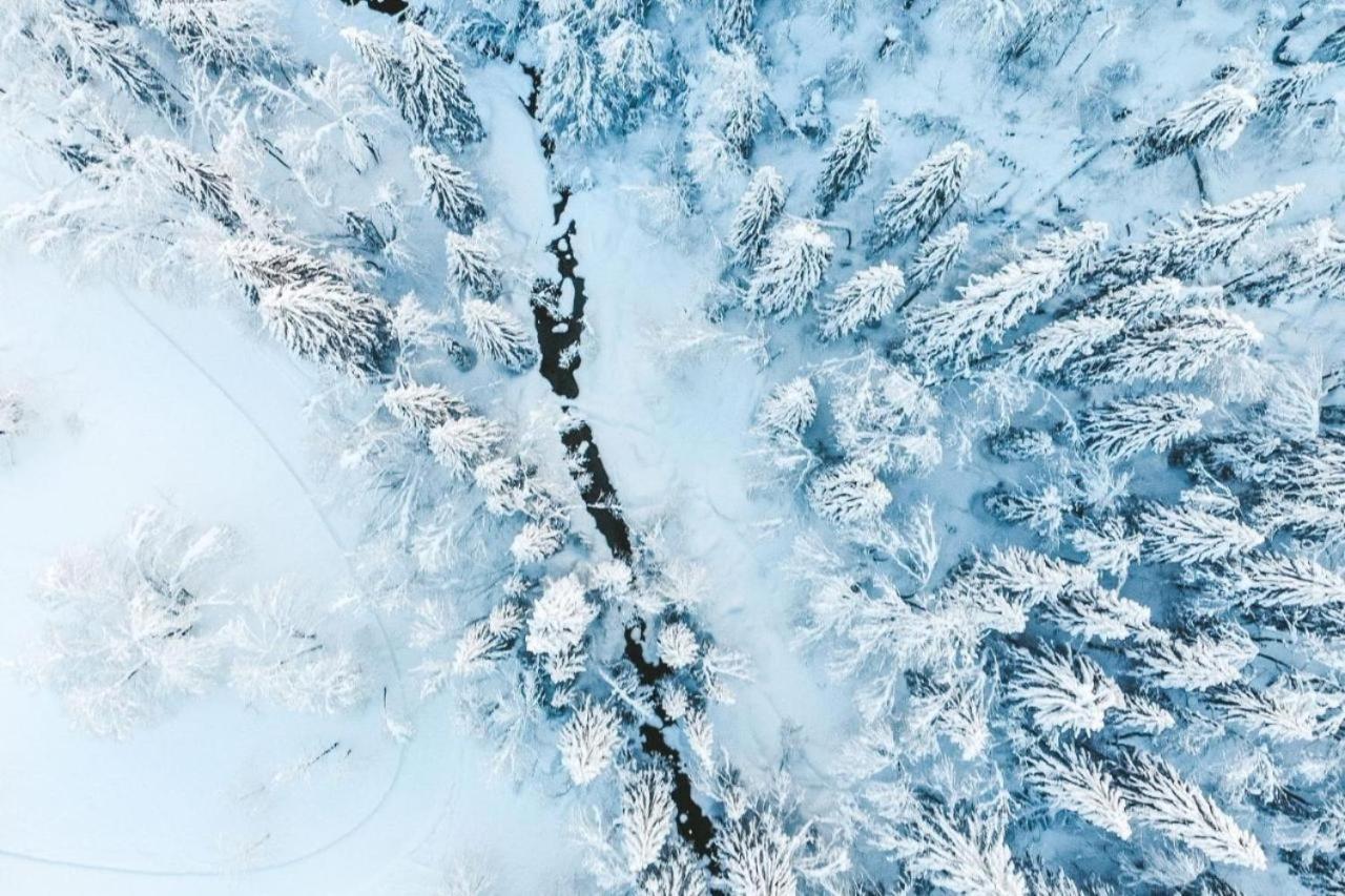 Bel Air - Propriétés Mont Amour Montriond Esterno foto